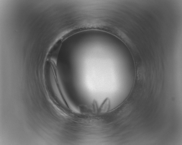 X0000054390722200508121632