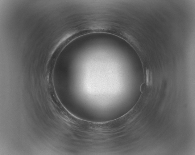 X0000054390723200508121632