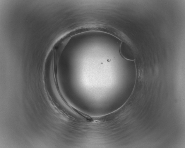 X0000054390724200508121632