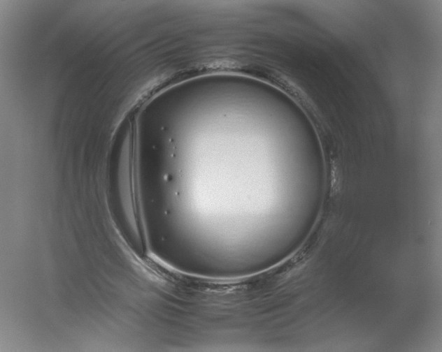 X0000054390725200508121632