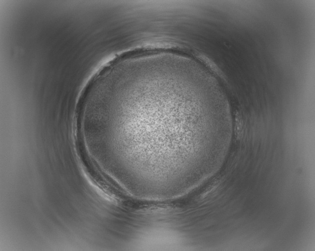 X0000054390726200508121632