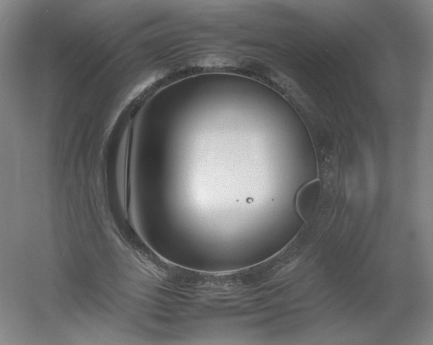 X0000054390727200508121632