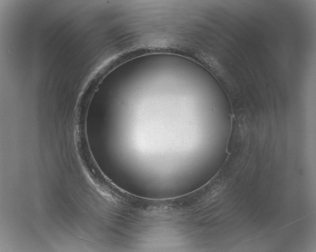 X0000054390728200508121632