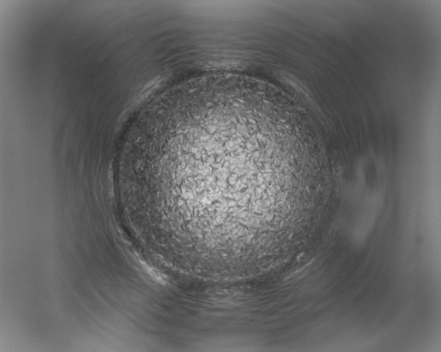 X0000054390729200508121632