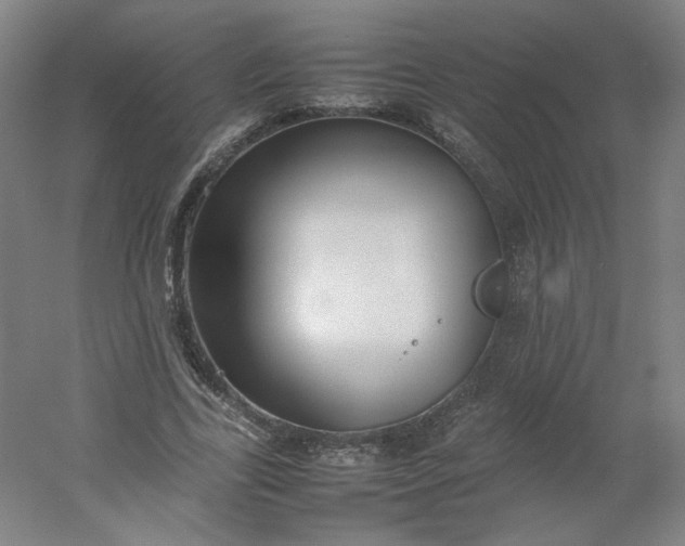 X0000054390731200508121632