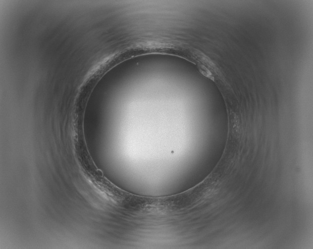 X0000054390732200508121632