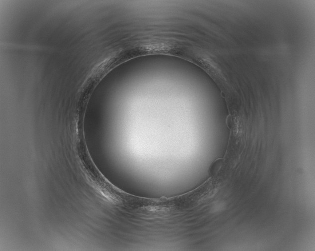 X0000054390733200508121632