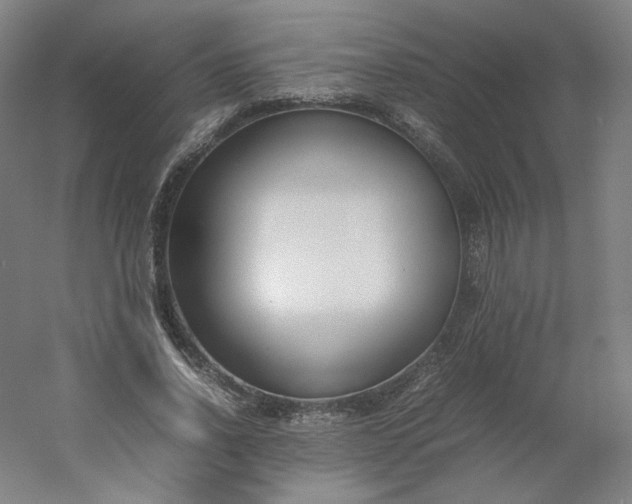 X0000054390734200508121632