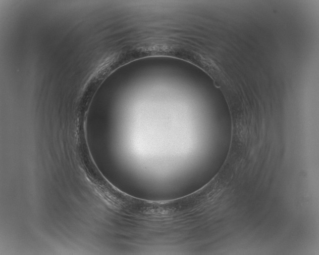 X0000054390735200508121632