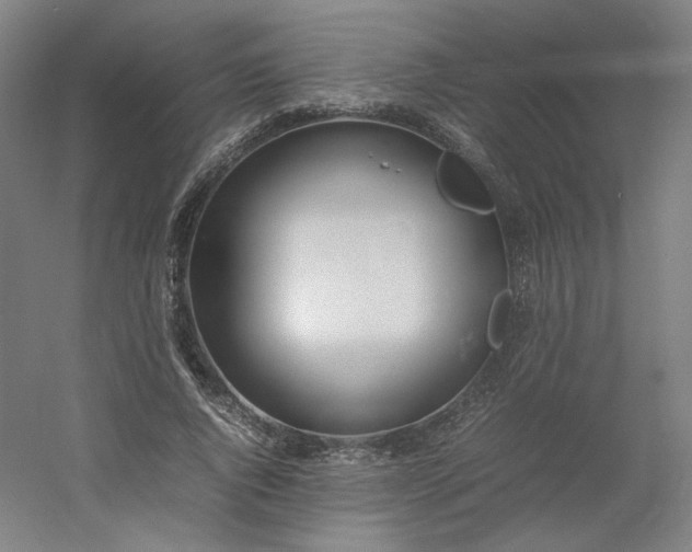 X0000054390736200508121632