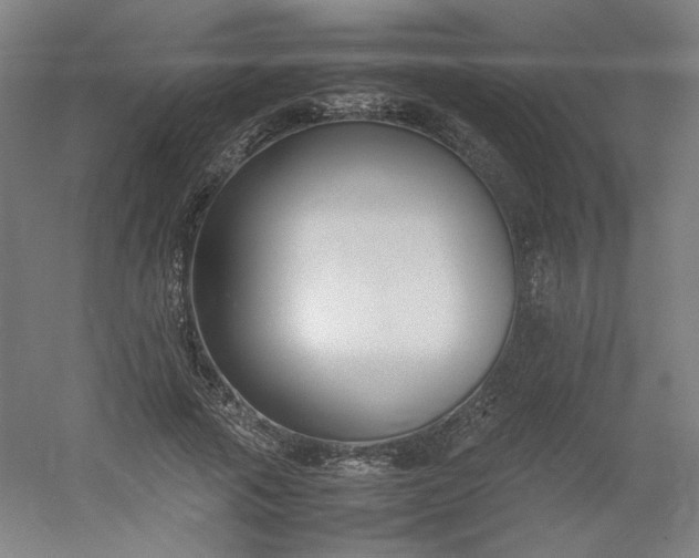 X0000054390737200508121632