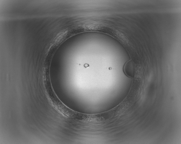 X0000054390738200508121632