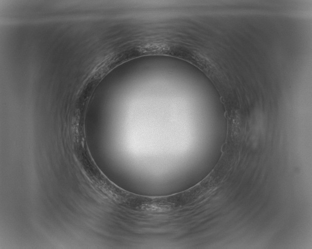 X0000054390739200508121632