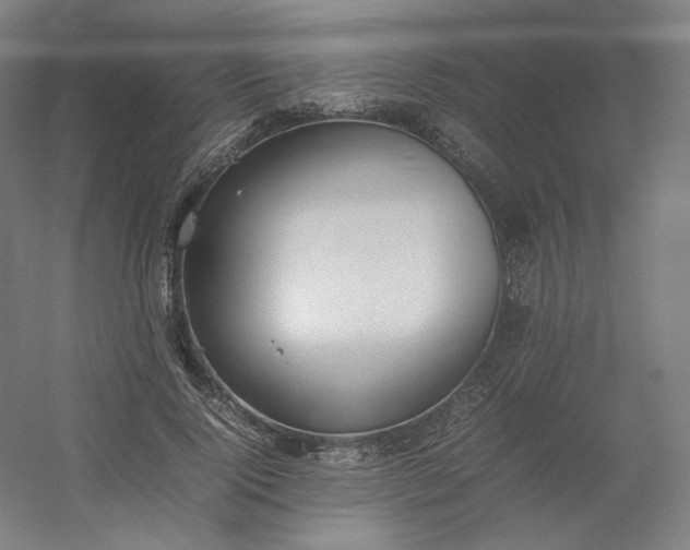 X0000054390740200508121632