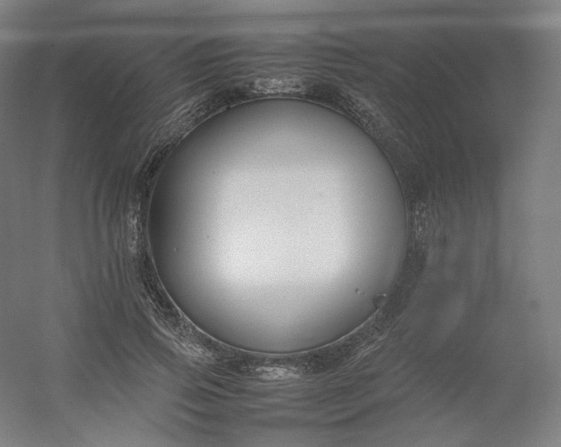 X0000054390741200508121632