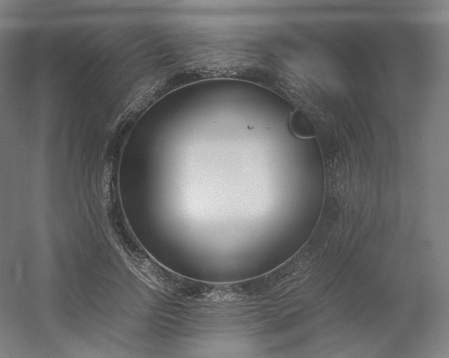 X0000054390742200508121632