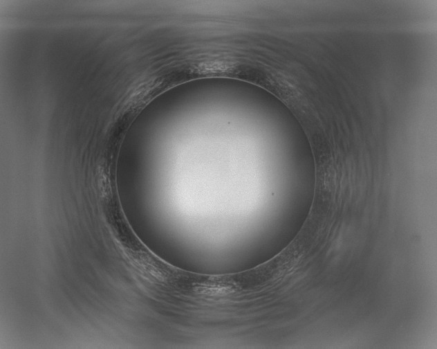 X0000054390743200508121632