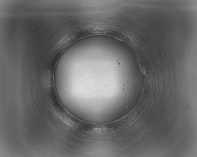 X0000054390744200508121632