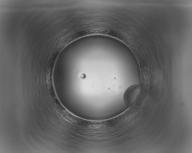 X0000054390745200508121632