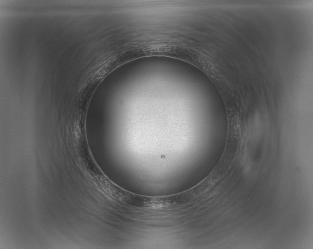 X0000054390746200508121632