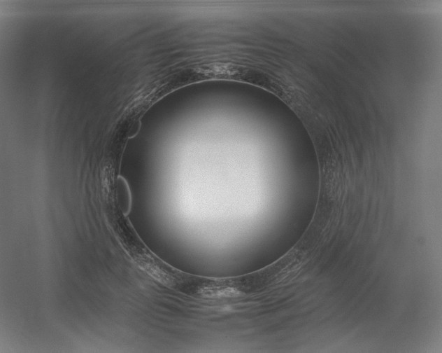 X0000054390747200508121632