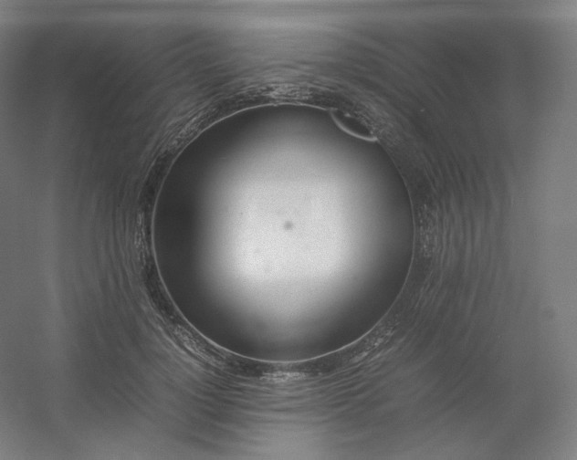 X0000054390748200508121632