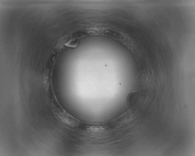 X0000054390749200508121632