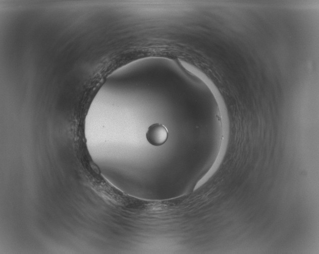 X0000054390750200508121632