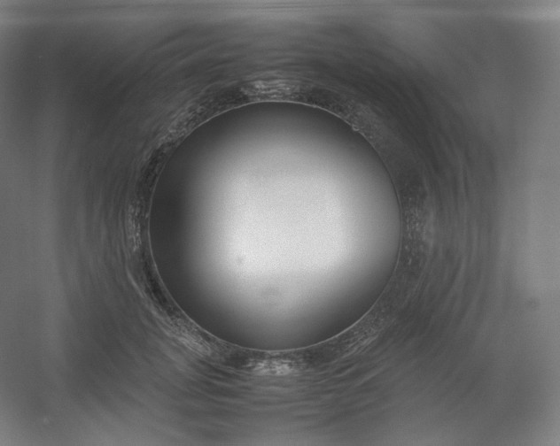 X0000054390751200508121632