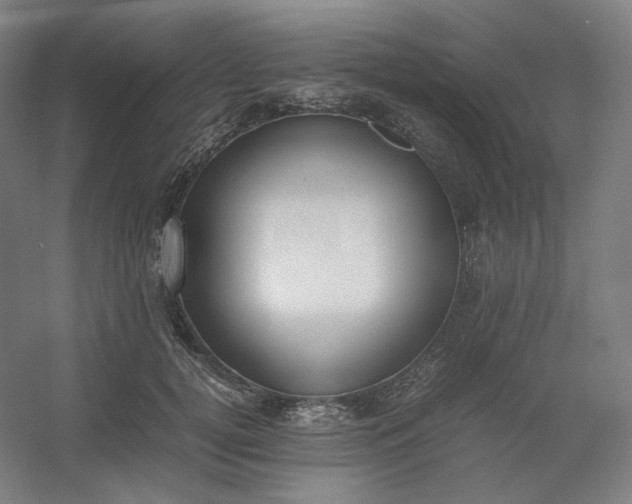 X0000054390752200508121632