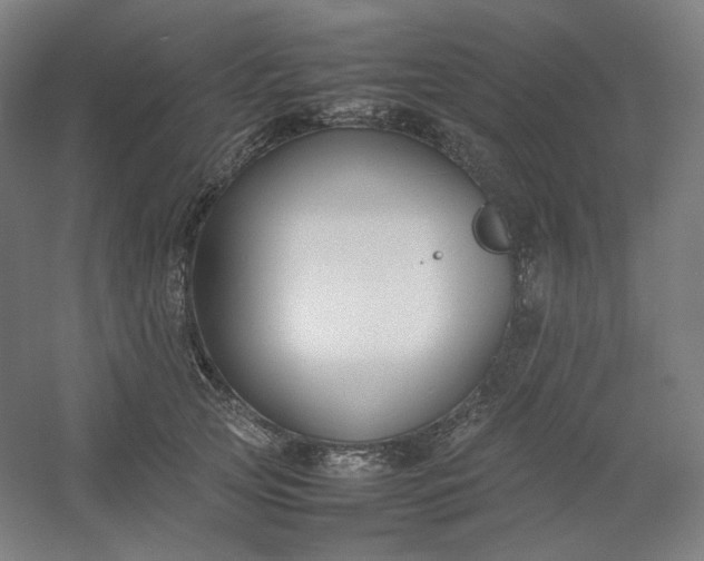 X0000054390753200508121632