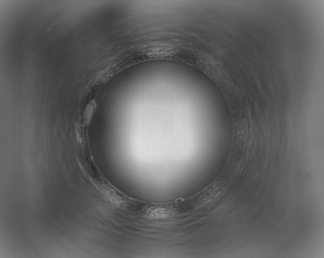 X0000054390755200508121632