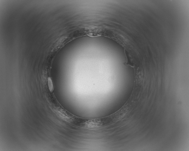 X0000054390756200508121632