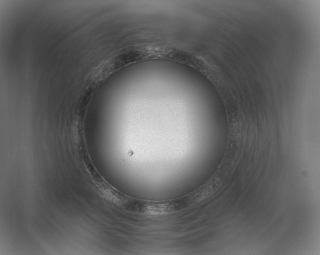 X0000054390757200508121632