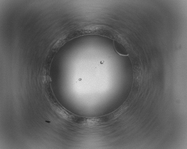 X0000054390758200508121632