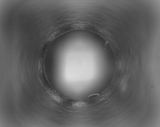 X0000054390759200508121632