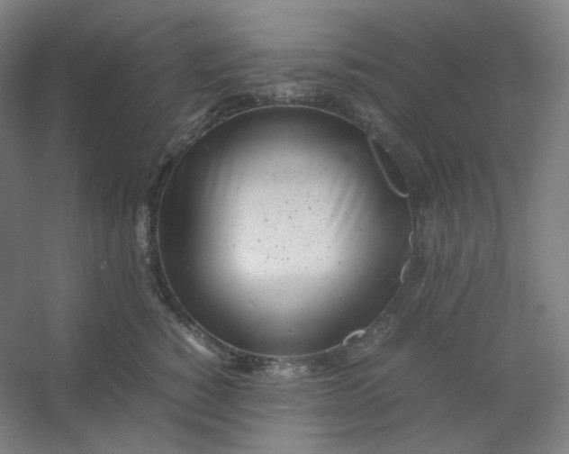 X0000054390760200508121632