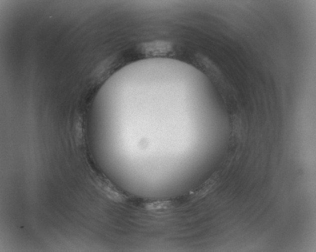 X0000054390761200508121632