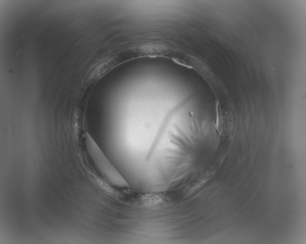 X0000054390762200508121632