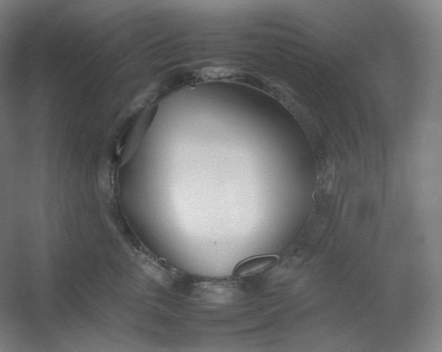 X0000054390763200508121632