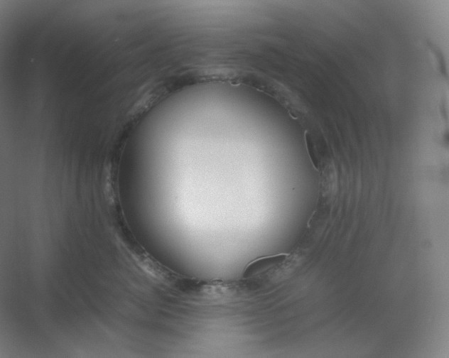 X0000054390764200508121632