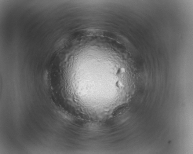 X0000054390765200508121632