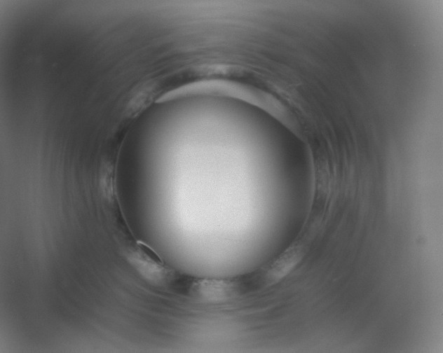 X0000054390766200508121632