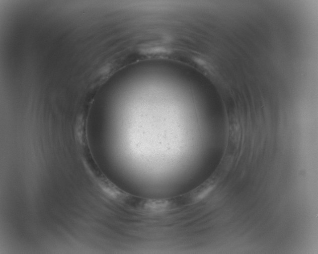 X0000054390767200508121632