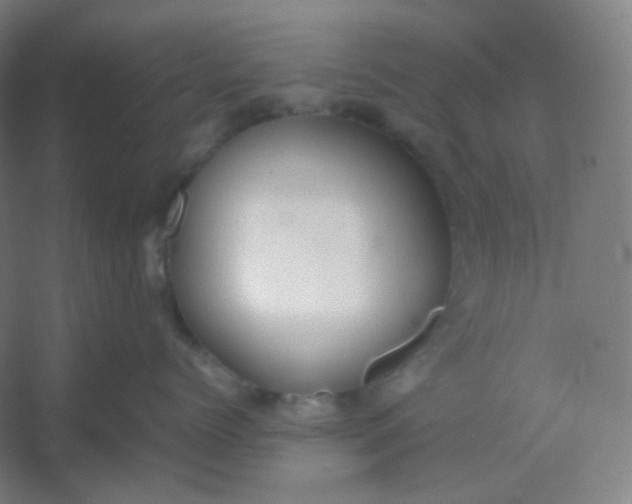 X0000054390768200508121632