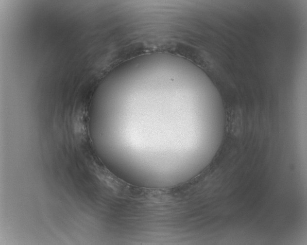 X0000054390770200508121632