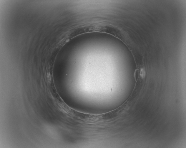 X0000054390771200508121632