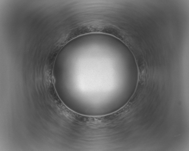 X0000054390772200508121632