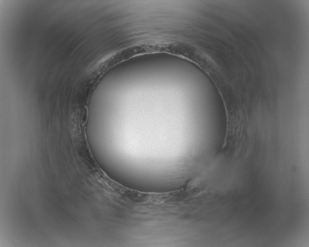 X0000054390773200508121632