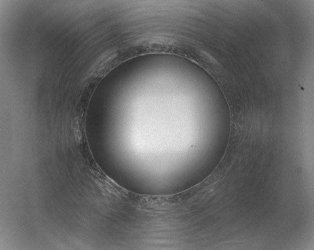 X0000054390774200508121632